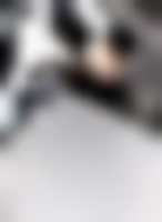 صورة العضو