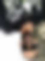 صورة العضو