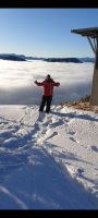 La photo du membre