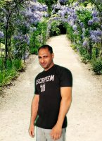 صورة العضو