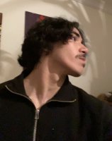 صورة العضو