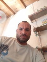 صورة العضو